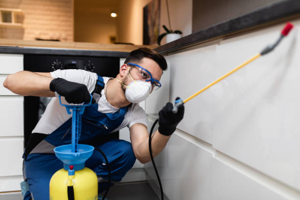 Best Bed Bug Extermination  in Golden Shores, AZ
