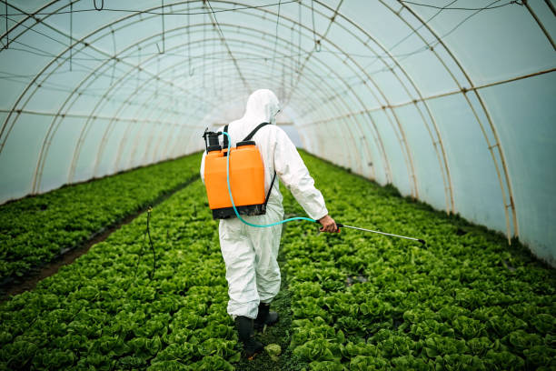 Best Commercial Pest Control Services  in Golden Shores, AZ