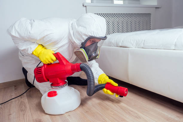 Best Mosquito Control Services  in Golden Shores, AZ