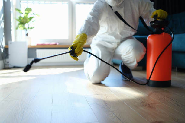 Best Pest Removal Services  in Golden Shores, AZ