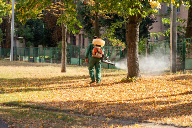 Pest Control for Restaurants in Golden Shores, AZ